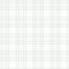 Cool Greige Small Traditional Tartan Plaid Pattern Home Styling Collection Decor Collection Pale Sage Green Botanical Small Traditional Tartan Plaid Pattern colorway design