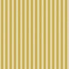 Serrated Sunfish Gold Small Stripe on Cream