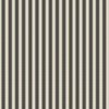 Serrated Stingray Grey Small Stripe on Cream