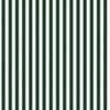Serrated Pine Needle Green Small Stripe on White