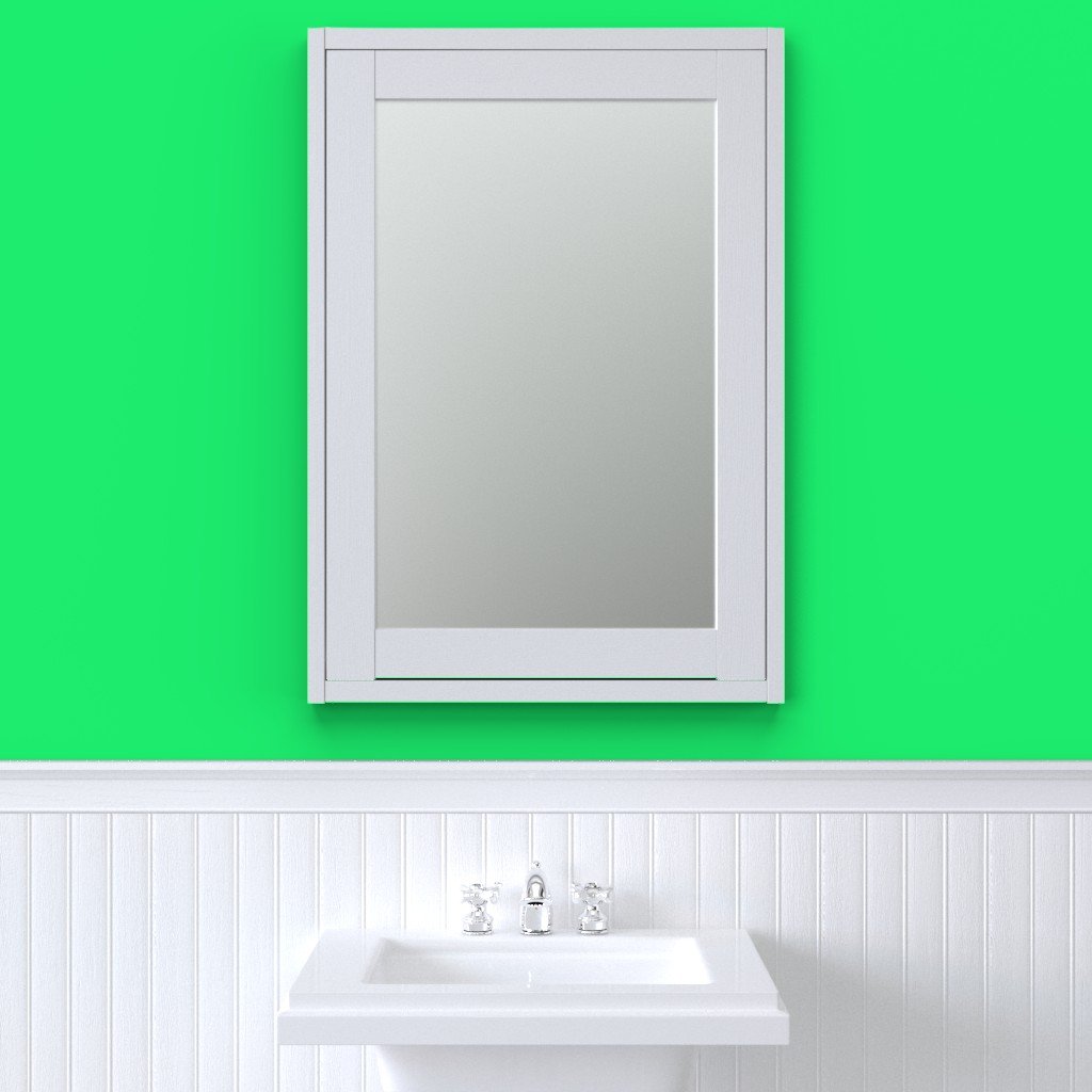 Lime Mojito Green Florida Colors of the Sunshine State Wallpaper green cocktail wallpaper