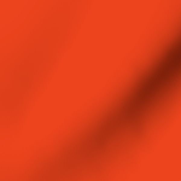 Citrus Orange Florida Colors of the Sunshine State Home Styling Collection Decor Collection citrus orange fabric design