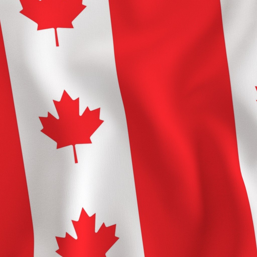 Canadian Flag Colors Red White and Maple Leaves Jumbo 6 Inch Vertical Fabric flag colors fabric