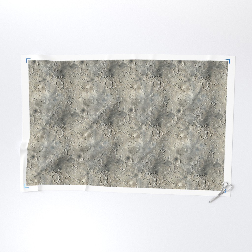 Natural Grey Pocked Surface of the Moon Fabric grey moon fabric