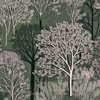 New England Endless Forest Trees in Mossy Green Winter