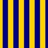 Bold Coastal Classic Navy Blue and Yellow Cabana Tent Stripe