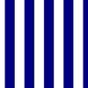 Bold Coastal Classic Navy Blue and White Cabana Tent Stripe
