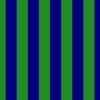 Bold Coastal Classic Navy Blue and Forest Green Cabana Tent Stripe