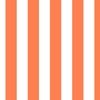 Bold Coastal Classic Coral and White Cabana Tent Stripe