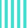 Bold Coastal Classic Turquoise and White Cabana Tent Stripe