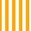 Bold Coastal Classic Bright Orange and White Cabana Tent Stripe