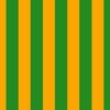 Bold Coastal Classic Bright Orange and Forest Green Cabana Tent Stripe