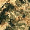 USA State Outline Camouflage in Sand and Deep Forest