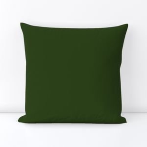 Lichen Green Solid Trim Color French Provincial Spring Home Styling Collection Decor Collection lichen green throw pillow design