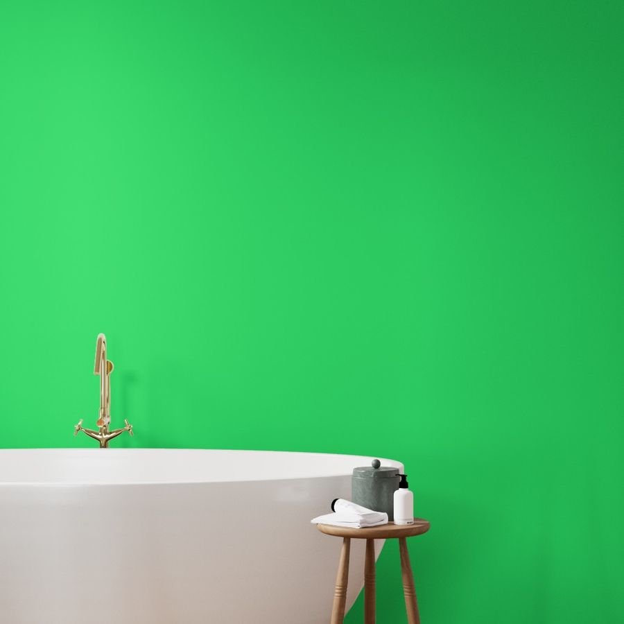 Lime Mojito Green Florida Colors of the Sunshine State Wallpaper green color wallpaper