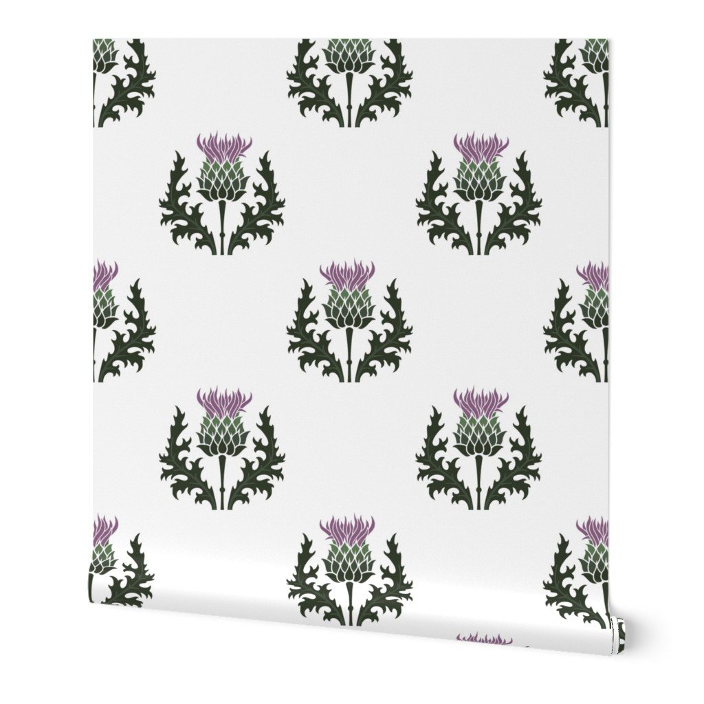 Large Scottish Thistle Flower of Scotland on White Wallpaper purple thistle wallpaper