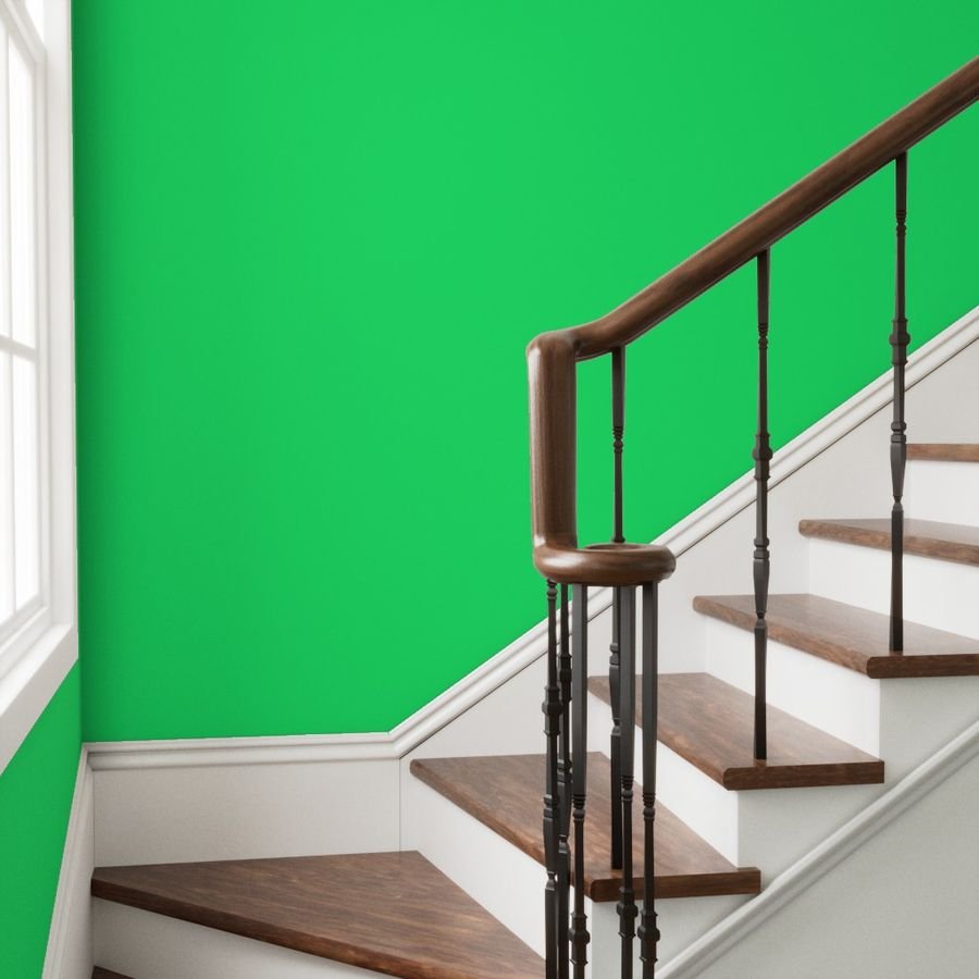 Lime Mojito Green Florida Colors of the Sunshine State Wallpaper lime color wallpaper