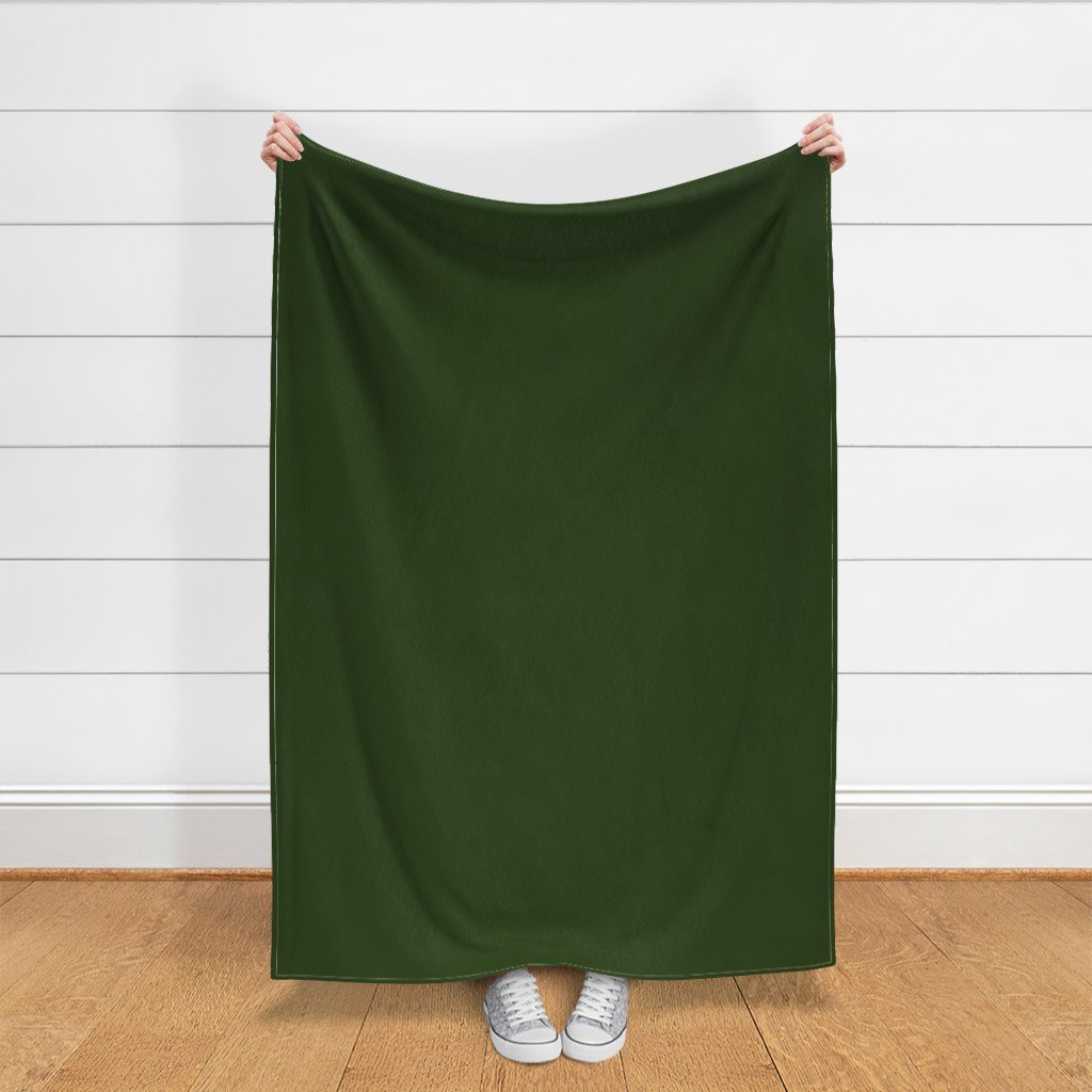 Lichen Green Solid Trim Color French Provincial Spring Home Styling Collection Decor Collection dark green fabric