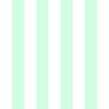 Summer Mint 2 Inch Wide Cabana Stripes