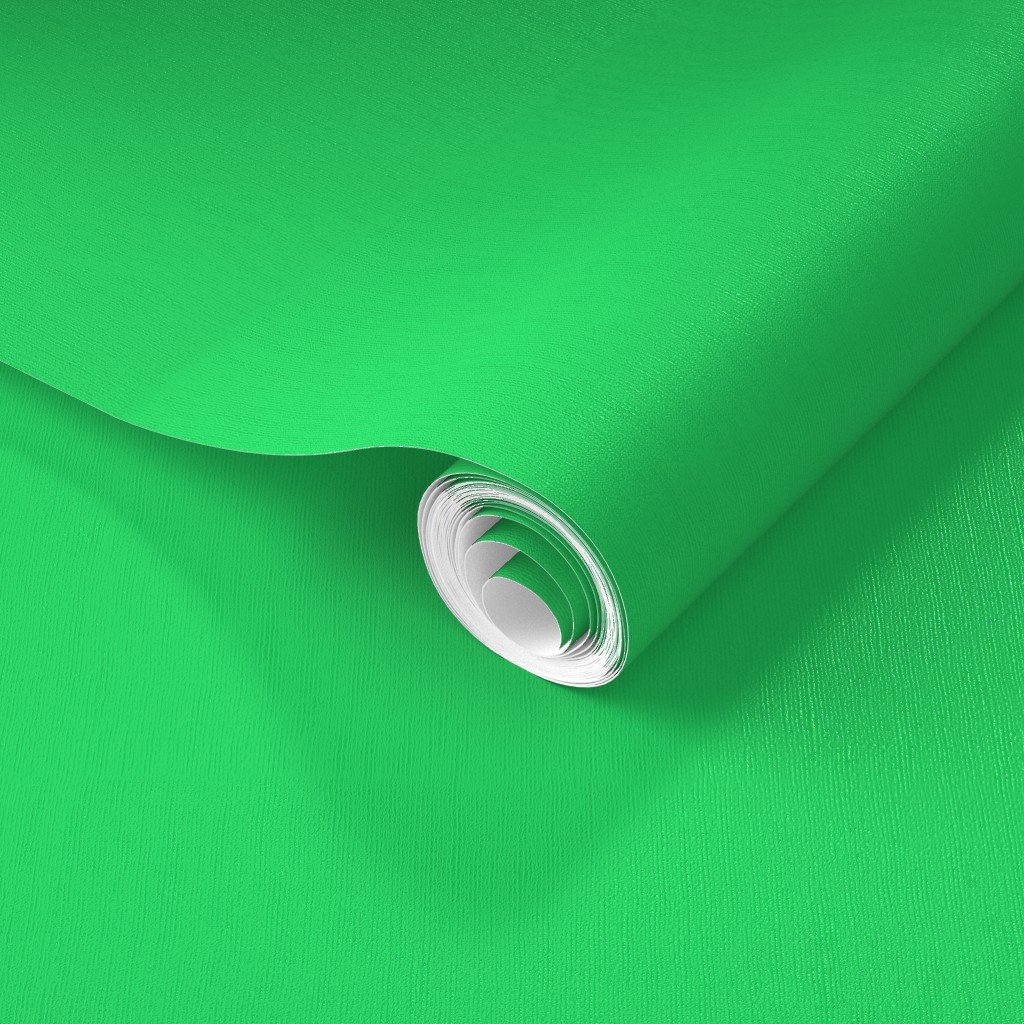 Lime Mojito Green Florida Colors of the Sunshine State Wallpaper lime green wallpaper