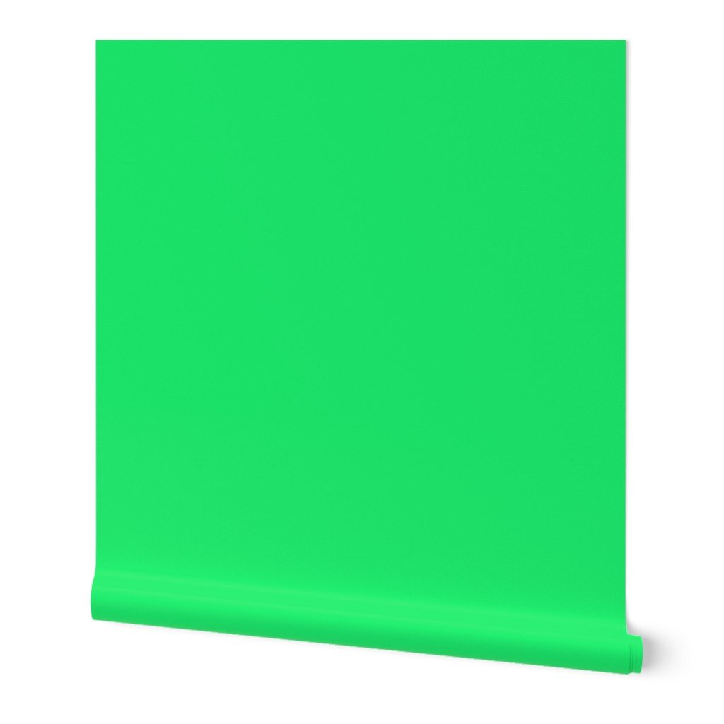 Lime Mojito Green Florida Colors of the Sunshine State Wallpaper lime green drink wallpaper