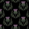 Large Scottish Thistle Flower of Scotland on Black