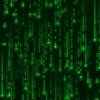 Bright Neon Green Digital Rain Computer Code