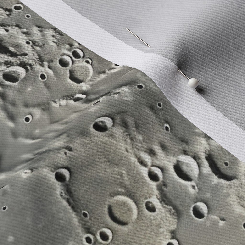 Natural Grey Pocked Surface of the Moon Fabric natural grey of moon fabric