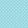 Sky Blue and White Polka Dots