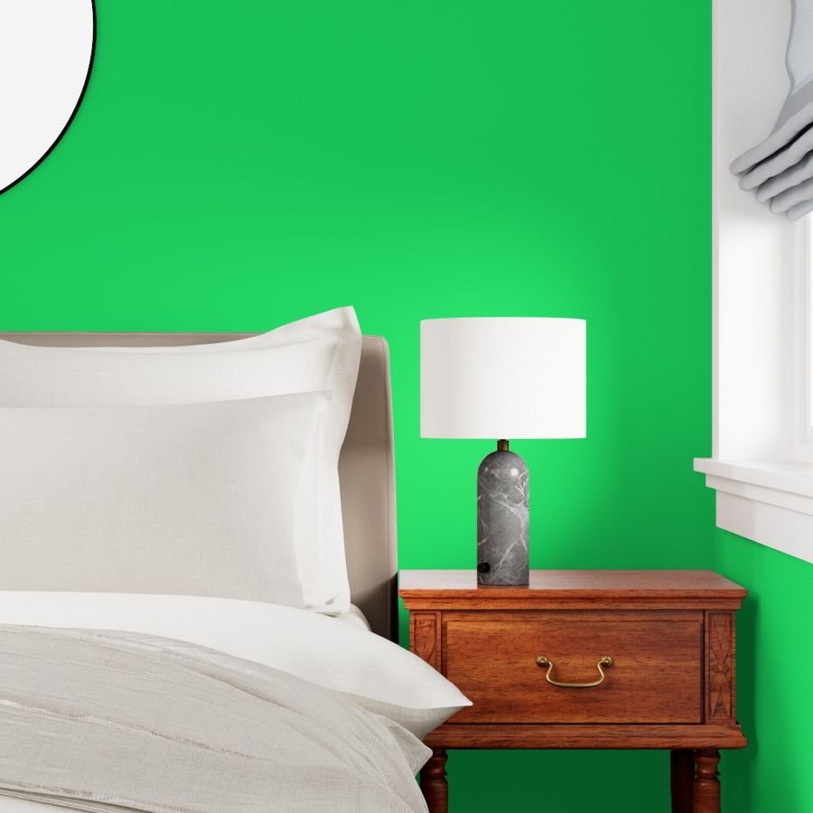 Lime Mojito Green Florida Colors of the Sunshine State Wallpaper lime solid wallpaper