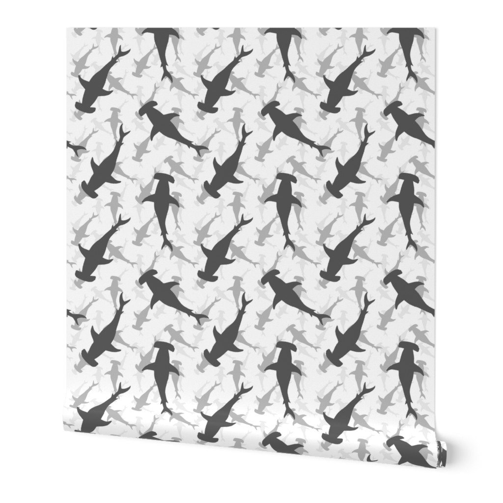 Hammerhead Sharks in Grey Silhouette Circling on White Wallpaper hammerhead gathering wallpaper