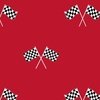 White Classic Chequered Flags on Racing Car