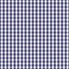 USA Flag Blue and White Gingham Checked