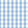 Airy Blue Gingham Check