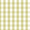 Fern Green Mini Gingham Check Plaid