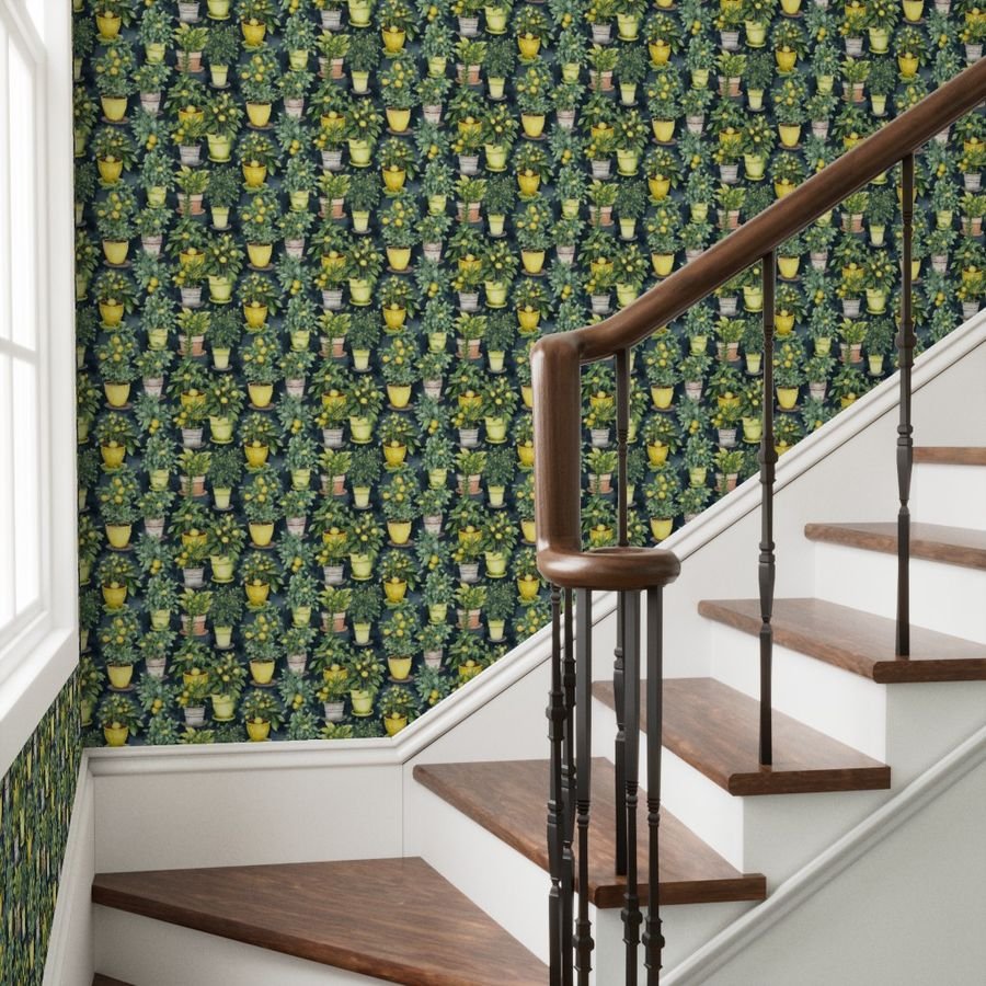 Potted Lemon Trees Watercolor on Dark Green Wallpaper lemon tree wallpaper