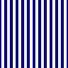 Blue and White ¾ inch Deck Chair Vertical Stripes
