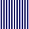 Blue and White ½ inch Picnic Vertical Stripes