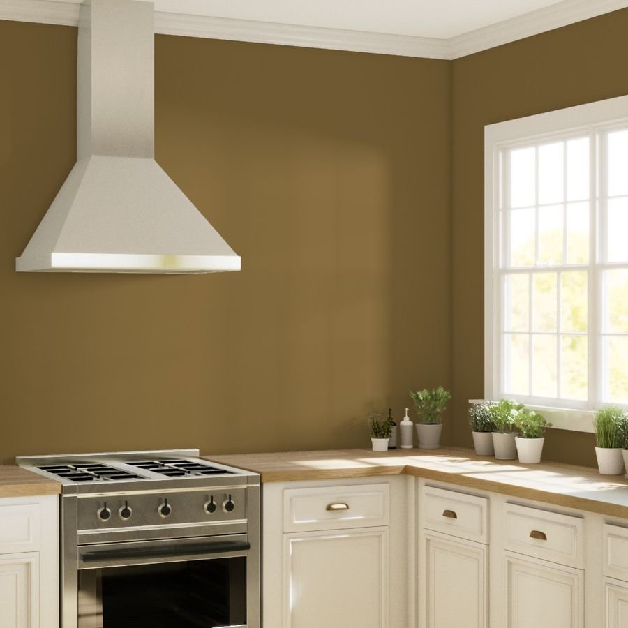 Louis Tan Solid Color Coordinate Wallpaper louis dog wallpaper