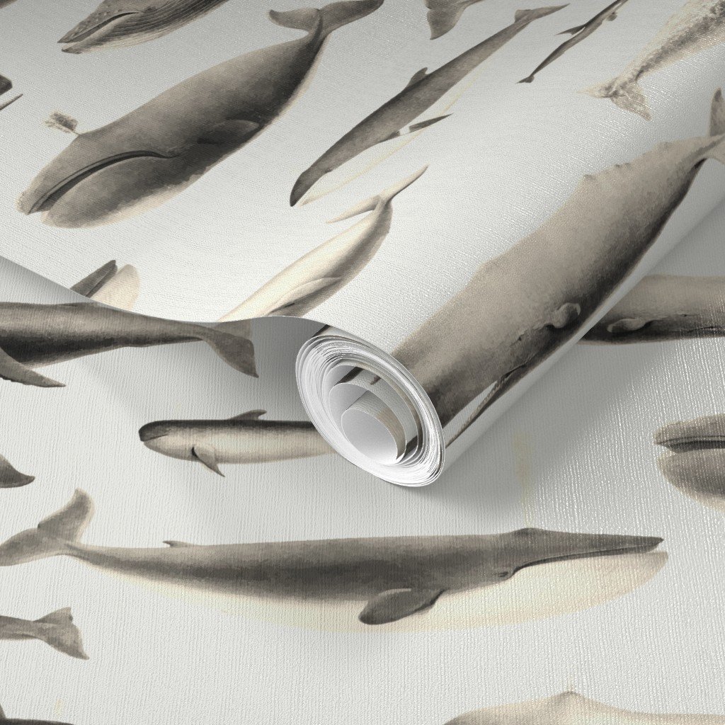 Whales Species Cetacea Mammals in Vintage Sepia on White Wallpaper baleen wallpaper