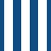 Classic Blue and White Circus Big Top 3