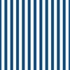 Classic Blue and White 3/4 inch Vertical Deck Chair Stripes