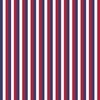 Small Vertical USA Flag Red White and Blue Stripes
