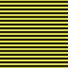 Halloween Holiday 1/2 inch Black and Cats Eye Yellow Witch Stripes