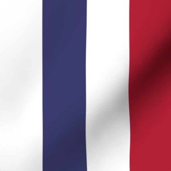 2 inch Flag Red White and Blue Alternating V Stripes Interior Collection Design Collection american flag fabric design