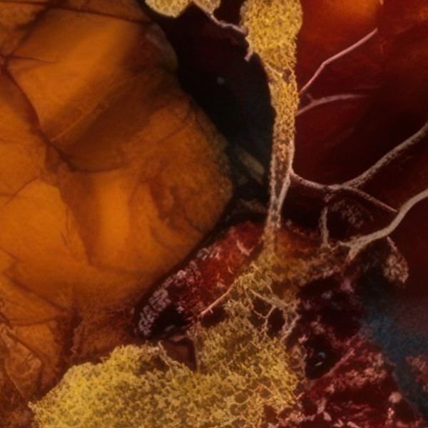 Amber and Gold Alcohol Ink 4 Interior Collection Home Styling Collection alcohol ink fabric design